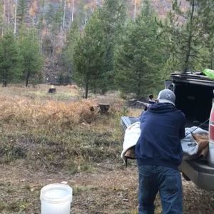 Meet your Posher, Connor